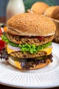 Tasty vegetarian cheeseburgers with round patties or burgers made from grains, vegetables and legumes