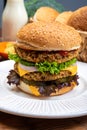 Tasty vegetarian cheeseburgers with round patties or burgers made from grains, vegetables and legumes