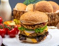 Tasty vegetarian cheeseburgers with round patties or burgers made from grains, vegetables and legumes