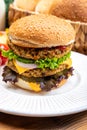 Tasty vegetarian cheeseburgers with round patties or burgers made from grains, vegetables and legumes