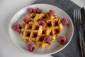 Tasty waffles with raspberries on a plate.