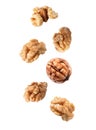 Tasty walnuts falling on background