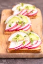 Tasty wheat toasts with radish, avocado and sprouts