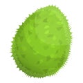 Tasty whole durian icon, cartoon style