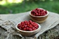 Tasty wild strawberries in bowls on wooden stump outdoors