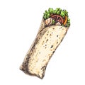 Tasty wrap with tomatoes, pieces of pepper, meat