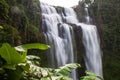 Tat Yuang waterfall