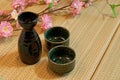 Tatami Mattress and sake bottle Royalty Free Stock Photo