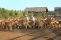 Tatarstan, Russia, August 12, 2021: Ecological project to revive the population of spotted deer. Farm workers surrounded by deer c