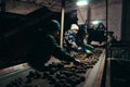 Tatarstan, Russia. 2022, June 14. Harvesting of potatoes. Sorting of earthy potatoes on a treadmill by farm workers