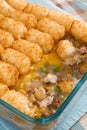 Tater Tot Casserole Royalty Free Stock Photo