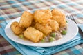 Tater Tot Casserole Plate Royalty Free Stock Photo