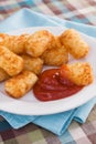 Tater Tots Royalty Free Stock Photo