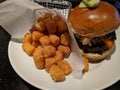 Tater tots and All American Hamburger with buffalo chicken wing
