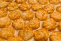 Tater Tots (Horizontal) Royalty Free Stock Photo