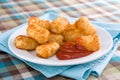 Tater Tots & Ketchup Royalty Free Stock Photo