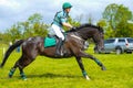 Tatersalls horse show racing black horse portrait in action on competition