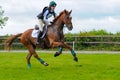 Tatersalls horse show racing horse portrait in action on competition