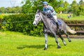 Tatersalls horse show racing horse portrait in action on competition