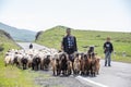 Armenian sheep herders on the road.