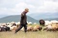 An Armenian sheep herder with his sheep. Royalty Free Stock Photo