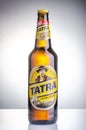 Tatra beer isolated on gradient background. Royalty Free Stock Photo