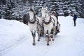 Tatra horse sleigh