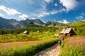 Tatra mountain, Poland. Koscielec peak