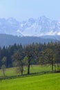 Tatra mountains as seen from Bukowina