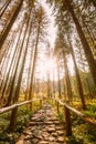 Tatra National Park, Poland. Hiking Trails In Summer Tatra Mountains Forest Landscape. Beautiful Scenic View Of European Royalty Free Stock Photo