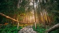 Tatra National Park, Poland. Hiking Trails In Summer Tatra Mountains Landscape Royalty Free Stock Photo