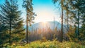 Tatra National Park, Poland. Sunrise Above Summer Mountain And Forest Landscape. Sun Sunshine With Sunlight Through Royalty Free Stock Photo