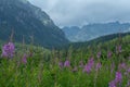 Tatra National Park, Slovakia