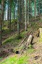 Tatra National park in Zakopane. Hiking trail in mountains Royalty Free Stock Photo