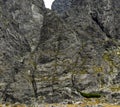 Guide with clients, instructor with students of the mountaineering course and independent climbers during mountain climbing. Wall Royalty Free Stock Photo