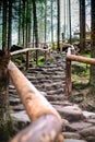 Tatry mountain in Poland in June.