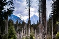 Tatry mountain in Poland in June.