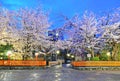 Tatsumibashi bridge and cherry trees