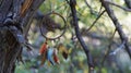 A tattered dreamcatcher hanging from a gnarled tree branch its colorful feathers dancing in the wind.