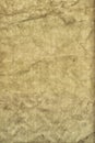 Tattered grunge paper texture