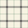 Tattersall pattern spring summer in grey green off white. Seamless soft textured windowpane vector background for flannel.