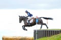 Tattersalls horse show in Ireland, black horse refuse to jump over obstacle with male rider, jockey Royalty Free Stock Photo