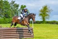 Tattersalls horse show in Ireland, dark brownhorse jumping over obstacle with male rider, jockey