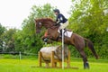 Tattersalls horse show in Ireland, dark ginger red horse jumping over obstacle with male rider, jockey