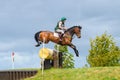 Tattersalls horse show in Ireland, dark ginger red horse jumping over obstacle with male rider, jockey
