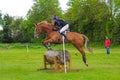 Tattersalls horse show in Ireland, red orange horse jumping over obstacle with male rider, jockey