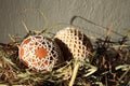 Tatting Easter eggs