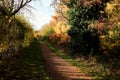 Tattingstone Park, UK, colors of autumn leaves Royalty Free Stock Photo