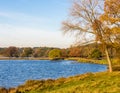 Tatton park Royalty Free Stock Photo