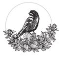 Tattoo art bird hand drawing and sketch black and white Royalty Free Stock Photo